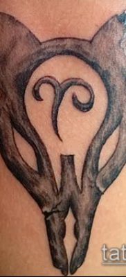 Kos tetoválás fotó (jelentése) - példa egy érdekes tetoválási tervre - 027