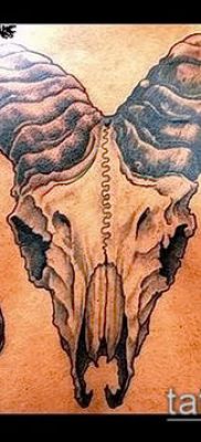 Kos tetoválás fotó (jelentése) - példa egy érdekes tetoválási rajzra - 026