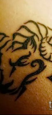Kos tetoválás fotó (érték) - példa egy érdekes tetoválási tervre - 025