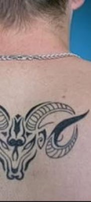 Kos tetoválás fotó (jelentése) - példa egy érdekes tetoválási rajzra - 024