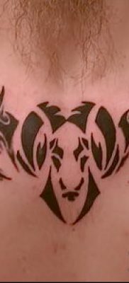 Kos tetoválás fotó (jelentése) - példa egy érdekes tetoválási rajzra - 022