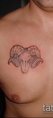 Kos tetoválás fotó (jelentése) - példa egy érdekes tetoválási rajzra - 020