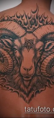 Kos tetoválás fotó (érték) - példa egy érdekes tetoválási rajzra - 019