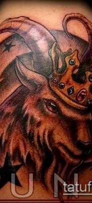 Kos tetoválás fotó (jelentése) - példa egy érdekes tetoválási tervre - 018