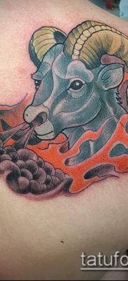 Kos tetoválás fotó (jelentése) - példa egy érdekes tetoválási rajzra - 016