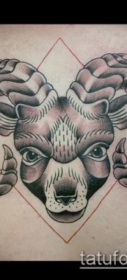 Kos tetoválás fotó (jelentése) - példa egy érdekes tetoválási rajzra - 015