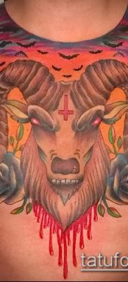 Kos tetoválás fotó (érték) - példa egy érdekes tetoválási rajzra - 014