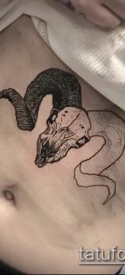 Kos tetoválás fotó (érték) - példa egy érdekes tetoválási rajzra - 013