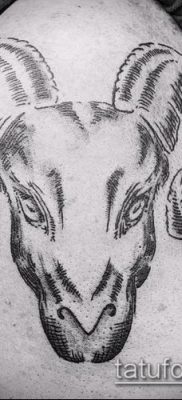 Kos tetoválás fotó (jelentése) - példa egy érdekes tetoválási rajzra - 012