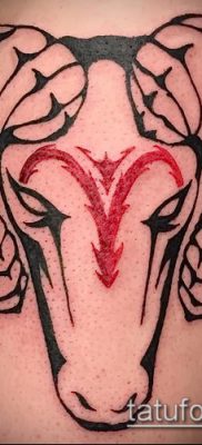 Kos tetoválás fotó (jelentése) - példa egy érdekes tetoválási rajzra - 011