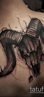 Kos tetoválás fotó (érték) - példa egy érdekes tetoválási rajzra - 010