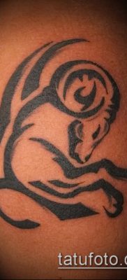 Kos tetoválás fotó (jelentése) - példa egy érdekes tetoválási rajzra - 009