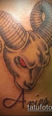 Kos tetoválás fotó (jelentése) - példa egy érdekes tetoválási rajzra - 008
