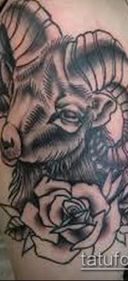 Kos tetoválás fotó (jelentése) - példa egy érdekes tetoválási rajzra - 005