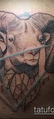 Kos tetoválás fotó (érték) - példa egy érdekes tetoválási rajzra - 004