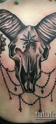 Kos tetoválás fotó (érték) - példa egy érdekes tetoválási rajzra - 003