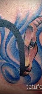 Kos tetoválás fotó (érték) - példa egy érdekes tetoválási rajzra - 002