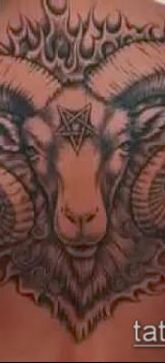 Kos tetoválás fotó (érték) - példa egy érdekes tetoválási rajzra - 001