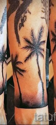 صورة لشم شجرة النخيل لمقال حول معنى وشم شجرة النخيل - tatufoto.ru - 52