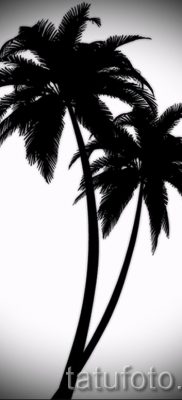 صورة لشم شجرة النخيل لمقال حول معنى وشم شجرة النخيل - tatufoto.ru - 31