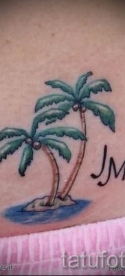 صورة لشم شجرة النخيل لمقال حول معنى وشم شجرة النخيل - tatufoto.ru - 20