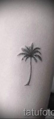 صورة لشم شجرة النخيل لمقال حول معنى وشم شجرة النخيل - tatufoto.ru - 19