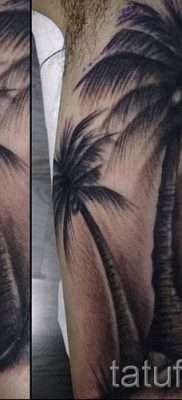 صورة لشم شجرة النخيل لمقال حول معنى وشم شجرة النخيل - tatufoto.ru - 16