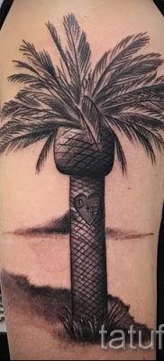 صورة لشم شجرة النخيل لمقال حول معنى وشم شجرة النخيل - tatufoto.ru - 13