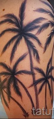 صورة لشم شجرة النخيل لمقال حول معنى وشم شجرة النخيل - tatufoto.ru - 9