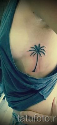 صورة لشم شجرة النخيل لمقال حول معنى وشم شجرة النخيل - tatufoto.ru - 8