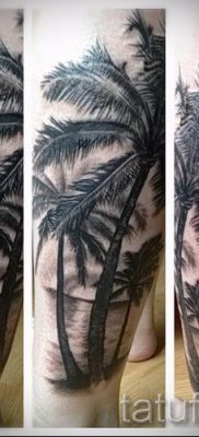 صورة لشم شجرة النخيل لمقال حول معنى وشم شجرة النخيل - tatufoto.ru - 4