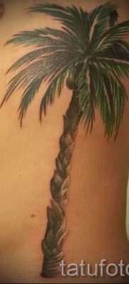 صورة لشم شجرة النخيل لمقال حول معنى وشم شجرة النخيل - tatufoto.ru - 3