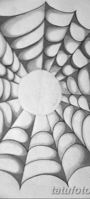 fotó a pókháló tetoválásról a könyökön, kelt 2018.02.06. №090 - tetováló pókháló a könyökön - 4835426