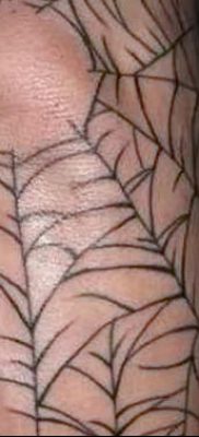 fotó egy web tetoválásról a könyökön, kelt 2018.02.06. №092 - tetováló pókháló a könyökön - 48456235 684 458