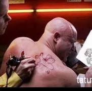 A pegazus tetoválás jelentése 234234234