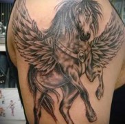 A pegazus tetoválás jelentése 3