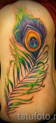 fotó példa a pávatollal készült tetoválás egyik változatára - a tetoválás jelentését bemutató cikkhez 24