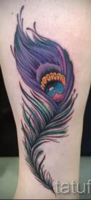 fotó példa a pávatollal készült tetoválás egyik változatára - a tetoválás jelentését bemutató cikkhez 23