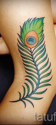Példa egy érdekes pávatoll tetoválásra, amelynek vázlata alkalmas a törzsre vagy az alkarra - a tetováló anyag jelentése