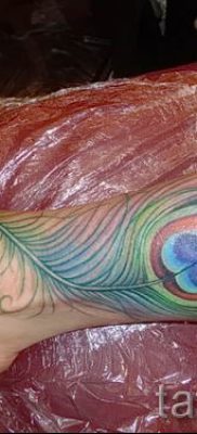 Az eredeti pávatoll tetoválás egyik változata, amelynek vázlata alkalmas a lábfejhez vagy a háthoz - a tetováló anyag jelentése