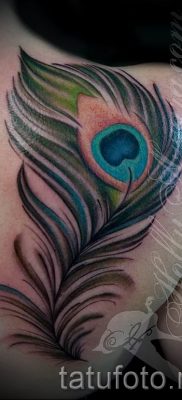Példa egy érdekes pávatoll tetoválásra, amelynek vázlata alkalmas lábra vagy alkarra - a tetováló anyag jelentése