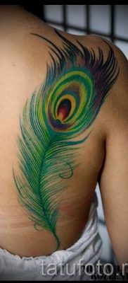 A szokatlan pávatoll tetoválás egyik változata, amelynek vázlata alkalmas a combra vagy a karra - a tetoválás anyagának jelentése