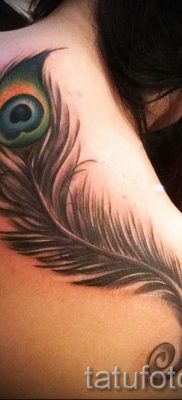 Fotó egy hűvös pávatoll tetoválásról, amelynek rajza alkalmas a törzsre vagy a lapockára - a tetoválás anyagának jelentése