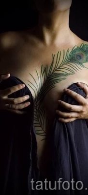 Egy hűvös pávatoll tetoválás egy változata, amelynek rajza alkalmas az alsó lábszárra vagy a mellkasra - a tetoválás anyagának jelentése