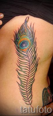 Fotó egy elegáns pávatoll tetoválásról, amelynek vázlata alkalmas az alsó lábszárra vagy a mellkasra - a tetováló anyag jelentése