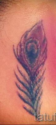 A pávatoll eredeti tetoválásának egy változata, amelynek rajza alkalmas a lábhoz vagy a lapockához - a tetováló anyag jelentése