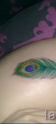 Példa egy hűvös pávatoll tetoválásra, amelynek vázlata alkalmas lábra vagy csuklóra - a tetováló anyag jelentése