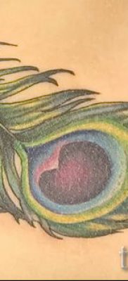 Az eredeti pávatoll tetoválás egyik változata, amelynek vázlata alkalmas a törzsre vagy a mellkasra - a tetováló anyag jelentése