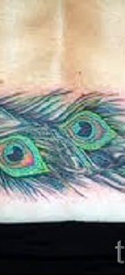 Példa egy hűvös pávatoll tetoválásra, amelynek rajza alkalmas lábfejre vagy lapockára - a tetováló anyag jelentése