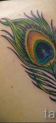 Fotó az eredeti pávatoll tetoválásról, amelynek rajza alkalmas a hasra vagy a csuklóra - a tetoválás anyagának jelentése